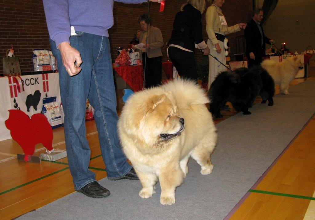 Best junior male Mi-Paos Red Sumac