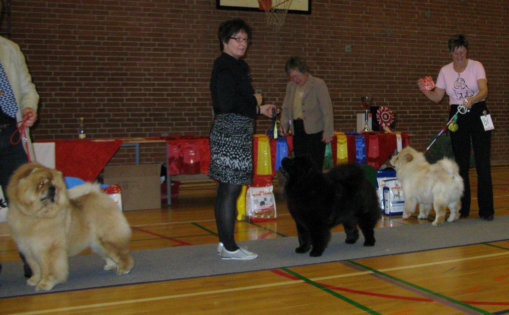 Best female 2. CH Bao Fangs Fen-Hong-Se Nu Shi 3. CH Dai Lan Zung Tzung Le 4.+Cert. Liusu Ai-Lin