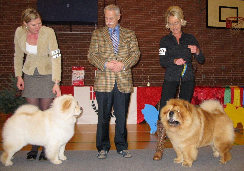 BOB (left) CH Pei Fang Eyecatcher BOS CH Orinells Ego Trip
