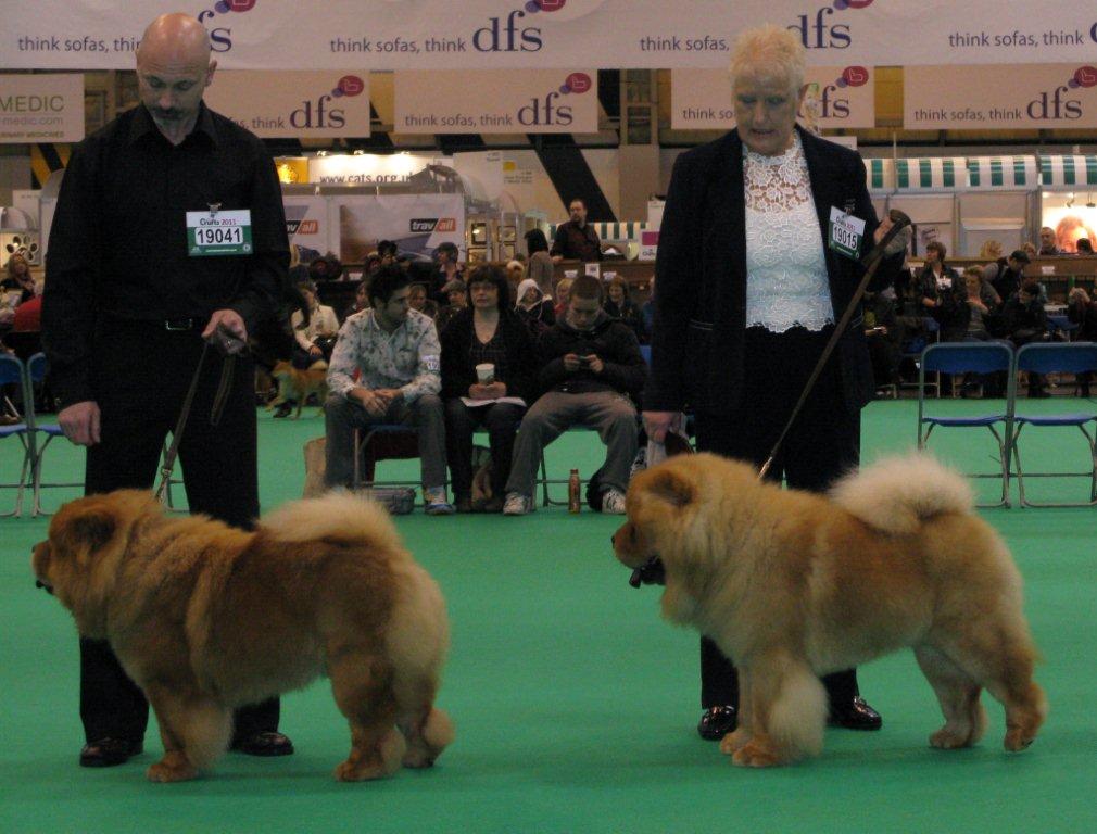Spec.junior dog 1. Etsuko Takashi Akio 2. Tin Pan Alley For Your Eyes Only