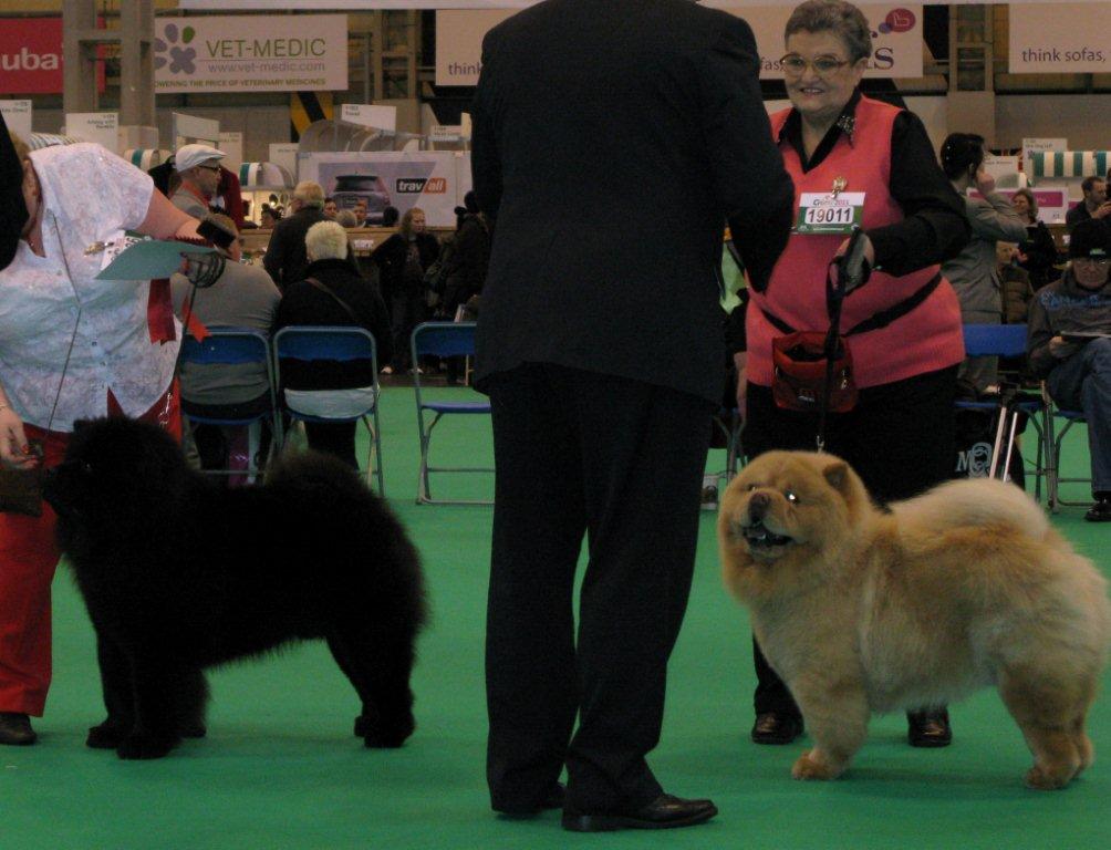 Post grad.dog 1.Sukura Midnight Shadow 2. Destavelars Mister Frostie At Kevindale