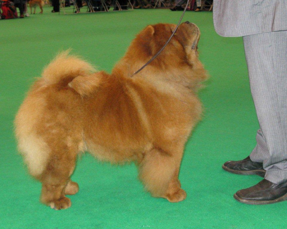 Sumsai Sunakuma