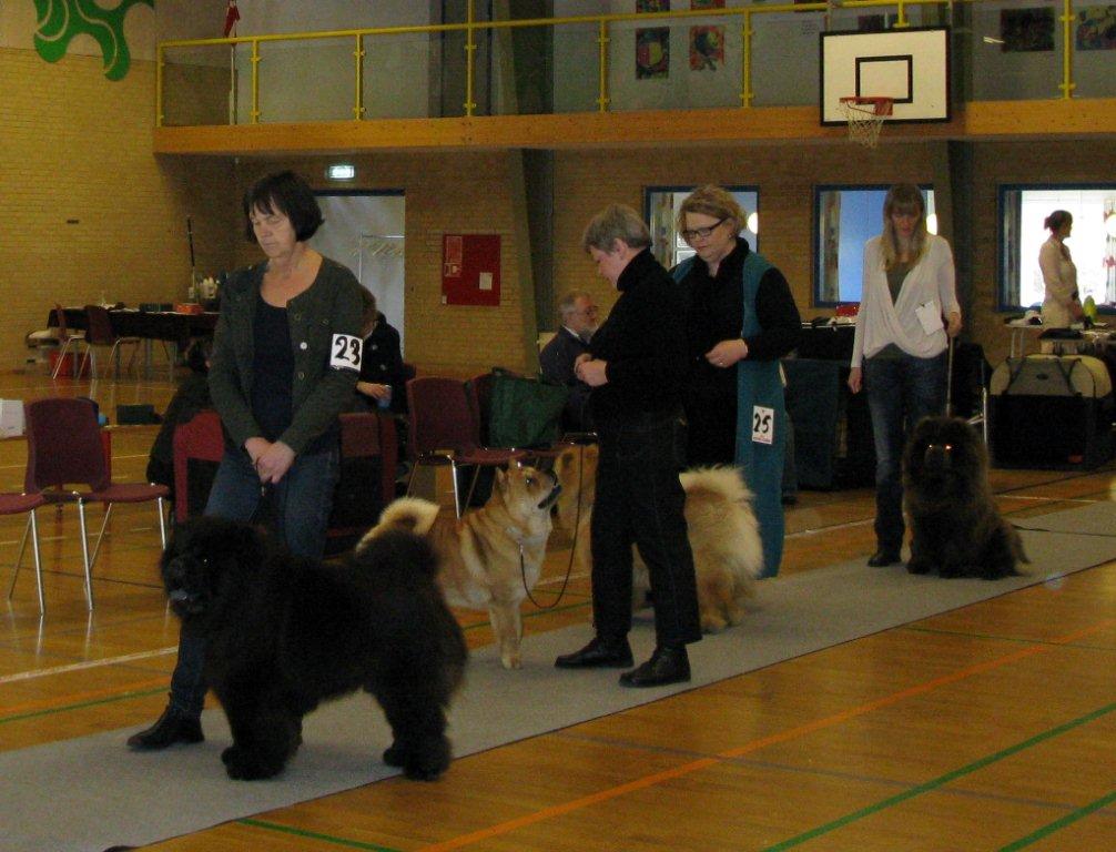 Open class male