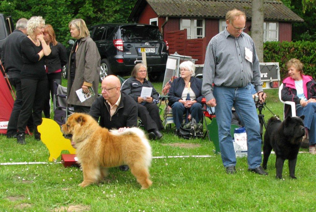 Excl.3 CK open malePiuk Chow Privat Passion + Excl.4 CK open male Bidachows Lord Luke The Smooth