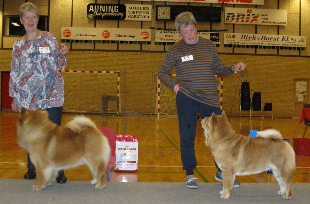 Best male 1.CH Bei-Wei Botai 2.CH Beijings Kefu Duan Tou Fa