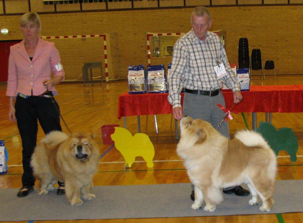 Best male 3.CH Orinells Ego Trip 4.Incipit Lionbear (Cert.)