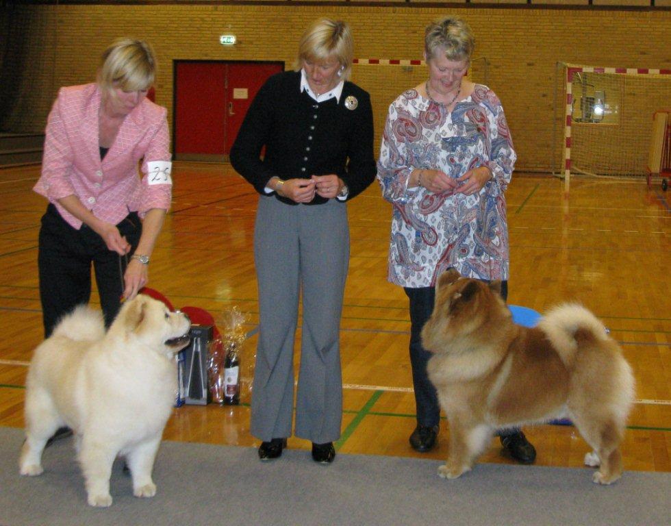 BOB (left) CH Pei Fang Eyecatcher-BOS CH Bei-Wei Botai