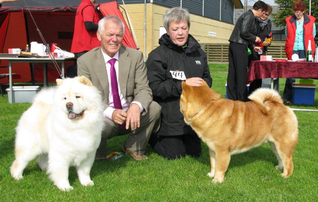 BOB (left) CH Beijings Kefu Duan Tou Fa-BOS CH Pei Fang Eyecatcher