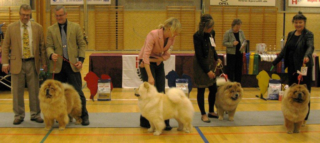 Best female 1.CH Bao-Fangs Fen-Hong-Se Nushi 2.CH Pei Fang Eyecatcher 3.Chan-Los Crazy Little Thing (Cert.) 4.Sakumas Shes Super Sweet (Res.Cert.)
