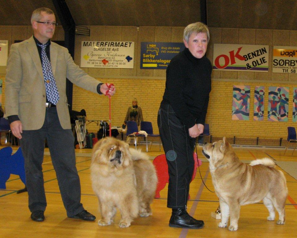 Chow Of The Year 2011: CH Bao-Fangs Fen-Hong-Se Nushi + BOS Chow Of The Year 2011: CH Beiyings Kefu Duan Tou Fa