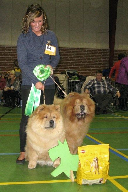 Best couple 4: CH Stagebos Quick Step and Chan-Los Crazy Little Thing