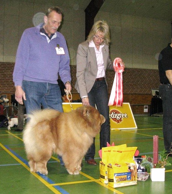 BIS veteran: CH Stagebos Quick Step