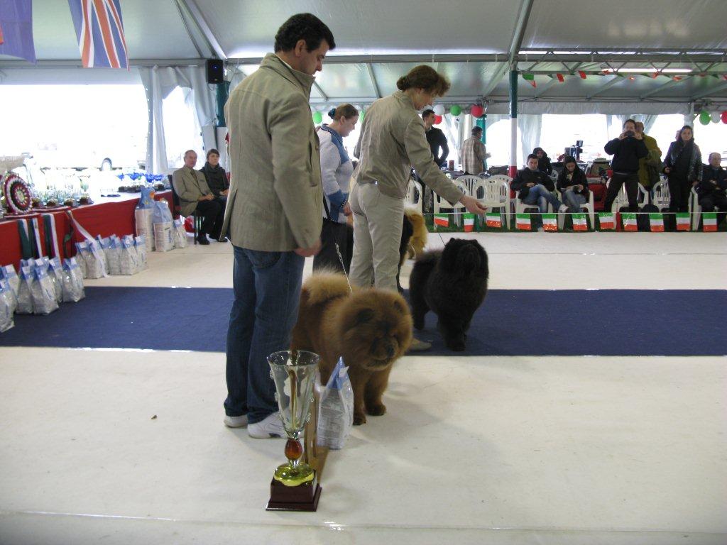 Champion male 1-2