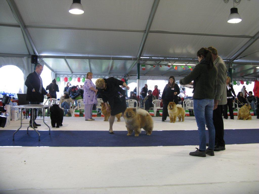 Champion females