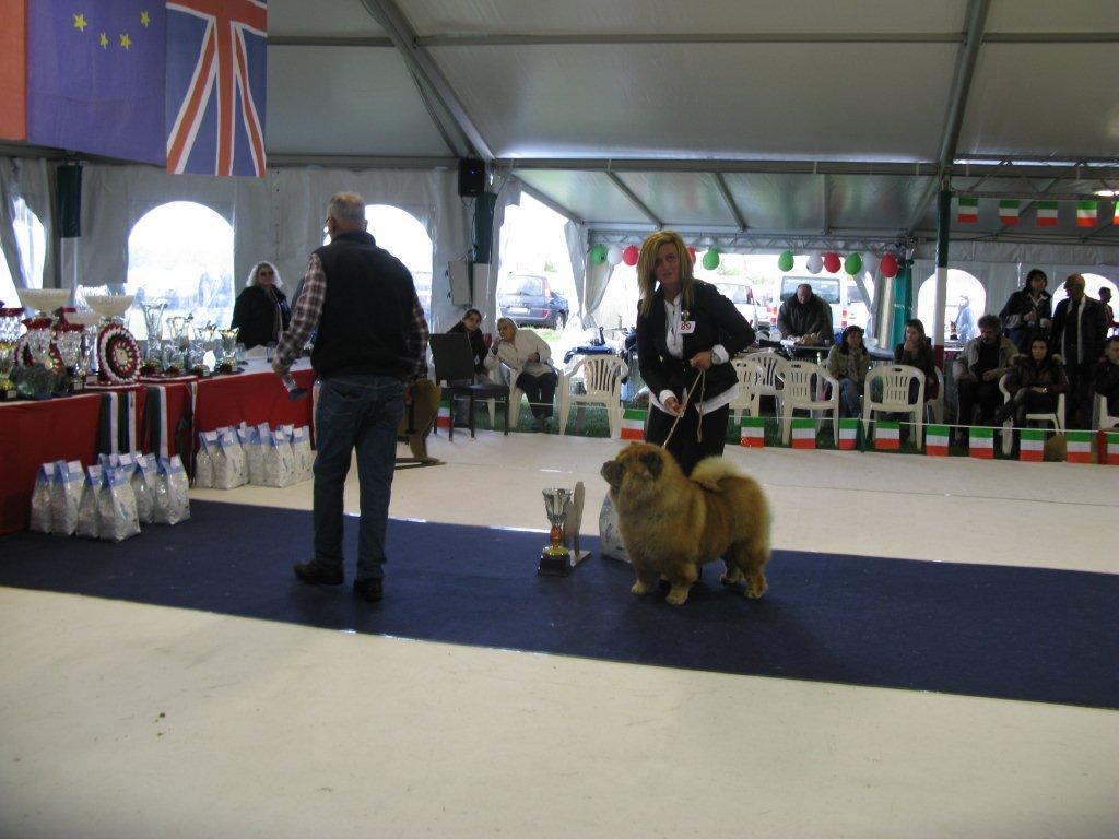 Champion female 3rd CH Chan-Los A Kind Of Magic