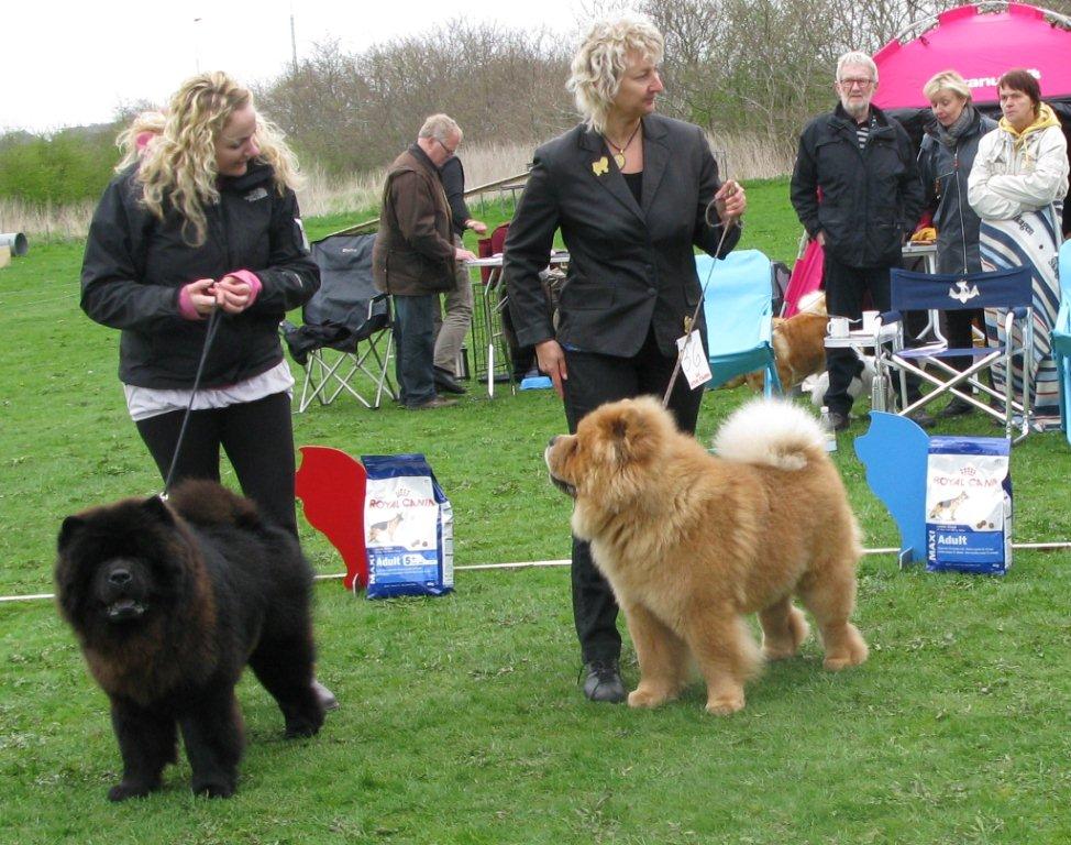 Best male 1. Bidachows Amazing Armani 2. Chan-Los Cant Buy Me Love