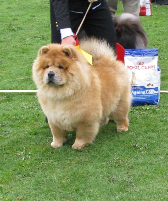 Junior female 1. Chan-Los Crazy Little Thing