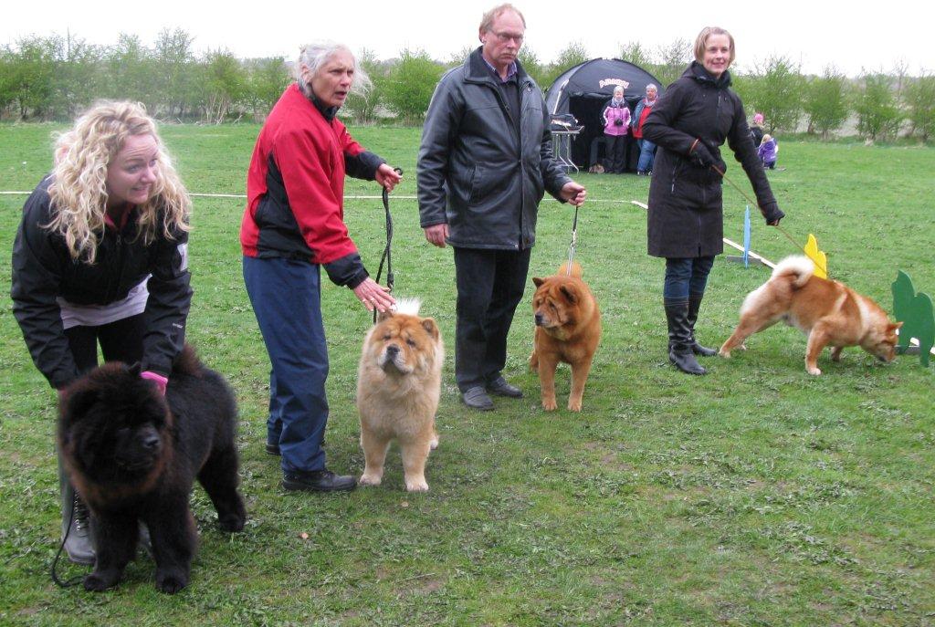 1. Breedersgroup Bidachow 