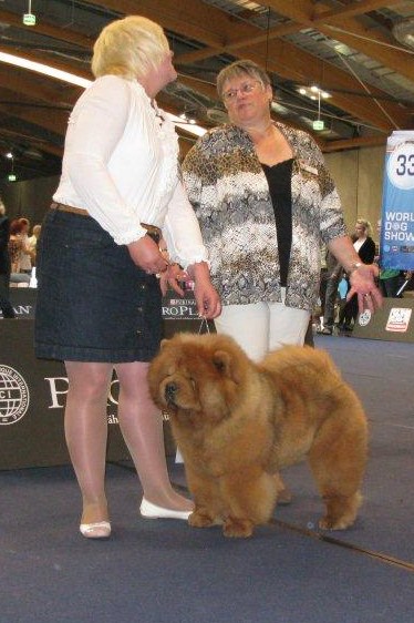 Viceworldwinner Dog 2012, Res. CACIB, CACA Intermediate Class Aerospace Skywalker Banvin Fun