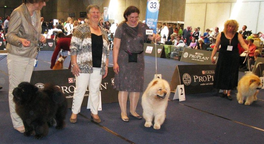 Open Dog 1. CH Simauta Dess Logris 2. Fearless Heart Exclusive 3. Le-Pash Shahrijar