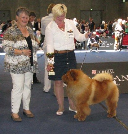 Veteran World Winner Dog 2012 CH Baboo Bandy