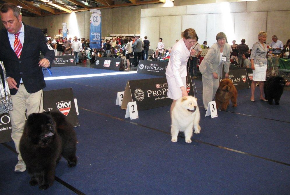 Champion Bitch 1. CH Moima Night In Paris 2. CH Pei Fang Eyecatcher 3. CH Honiland Una Fiore 4. Ch Bon Triumph Yamaha