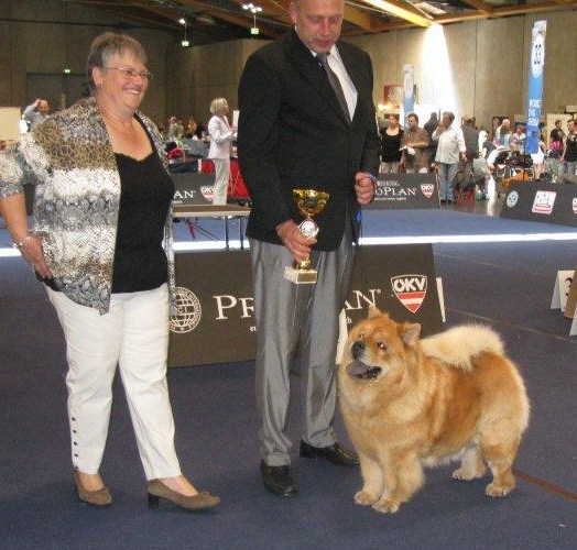 Veteran World Winner Bitch 2012 CH Himwin Hi Ona