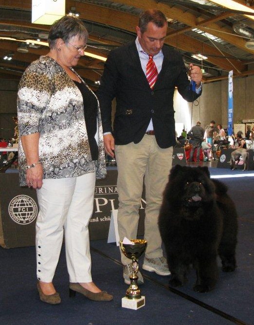 BOS World Winner 2012 Bitch, CACIB, CACA CH Moima Night In Paris