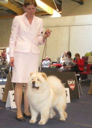 Viceworldwinner 2012 Bitch, Res. CACIB, Res. CACA Champion Class CH Pei Fang Eyecatcher