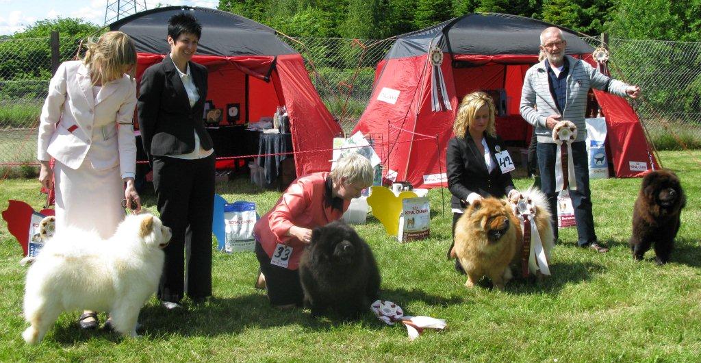 Best bitch 1. CH Pei Fang Eyecatcher 2. Bakkebos Miss Moneypenny 3. CH Chan-Los  A Kind Of Magic 4. Nrskovs French KIss Neela