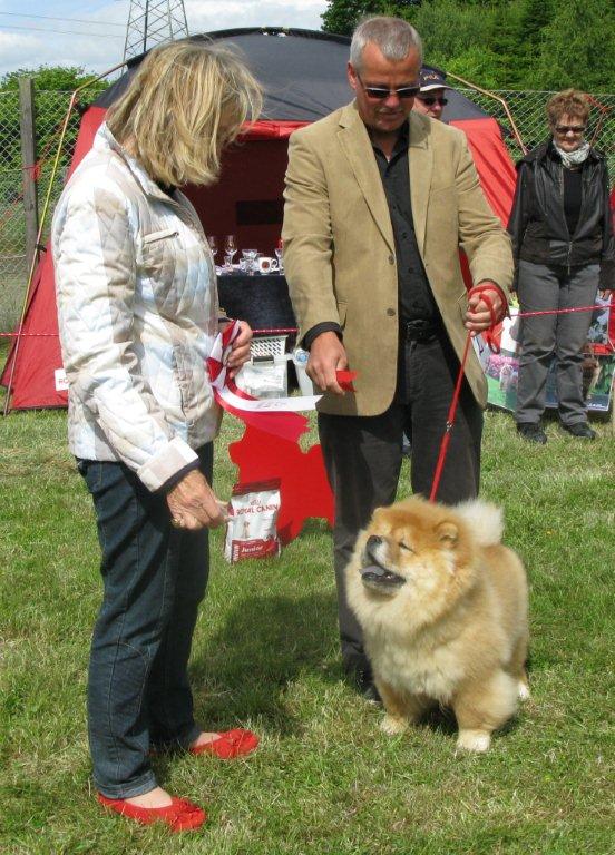 Best baby + BIS puppy: Piuk Chow Plenty Of Christmas Candy 