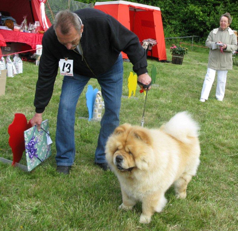 Open dog: 1. Mi-Paos Red Sumac