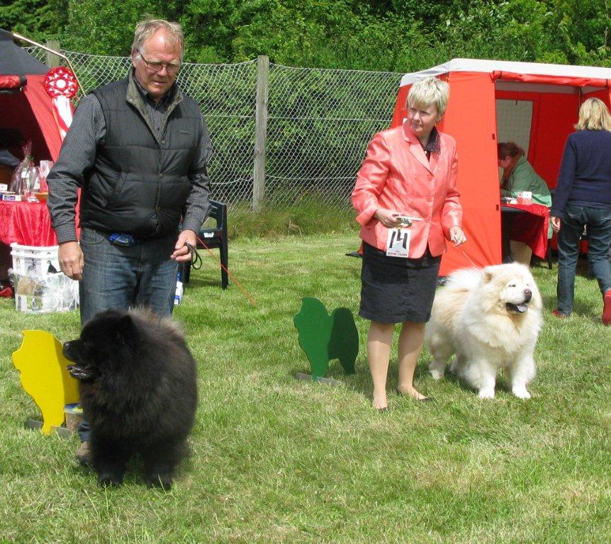 Champ.dog: 3. CH Orinells Cool Casanova 4. CH Rossy Cream Colombo