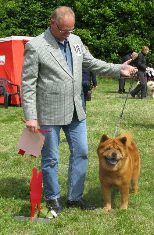 Veteran dog: 1. CH Bidachows Funky Smooth Foxy