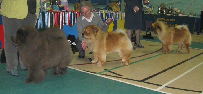 Graduate dog: 1.Santicana Smokin Joe 2. Foillan Fusion 3.Chowdenchow William Wallace