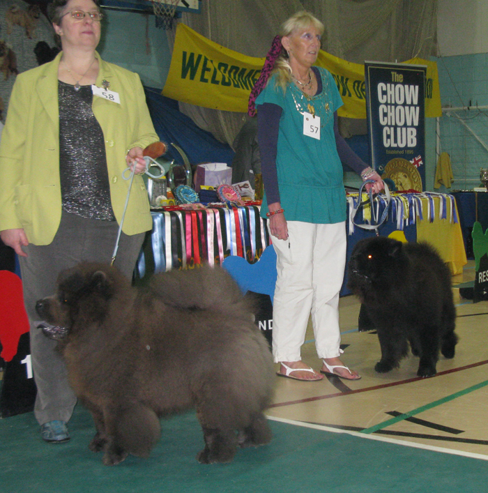 Spec.grad.dog AOC: 1. Santicana Smokin Joe 2.Xianyang Black Diamond