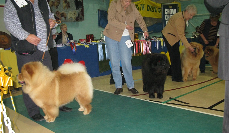 Limit dog: 1.Maixing Wunico E.Sol At Charids 2.Helyenhu Rogue Trader 3.Tin Pan Alley For Your Eyes Only At Kweichow