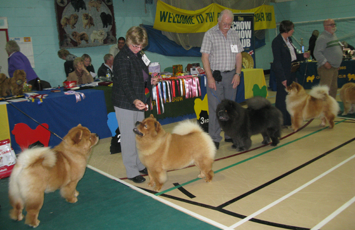 Limit bitch 1. Simcha Chucuito 2. Maychow Evie Rosemane 3. Sumsai Siana At Tonlu