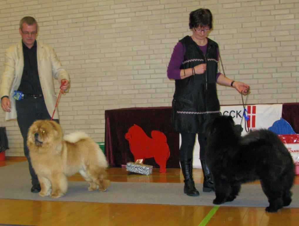 Intermediate female 1.Bao-Fangs Fen-Hong-Se Nu Shi 2.Dai Lan Zung Tzung Le