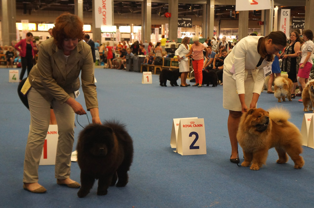 Intermediate male 1. Miketilla Moon River 2. Dior Liuto Guolis