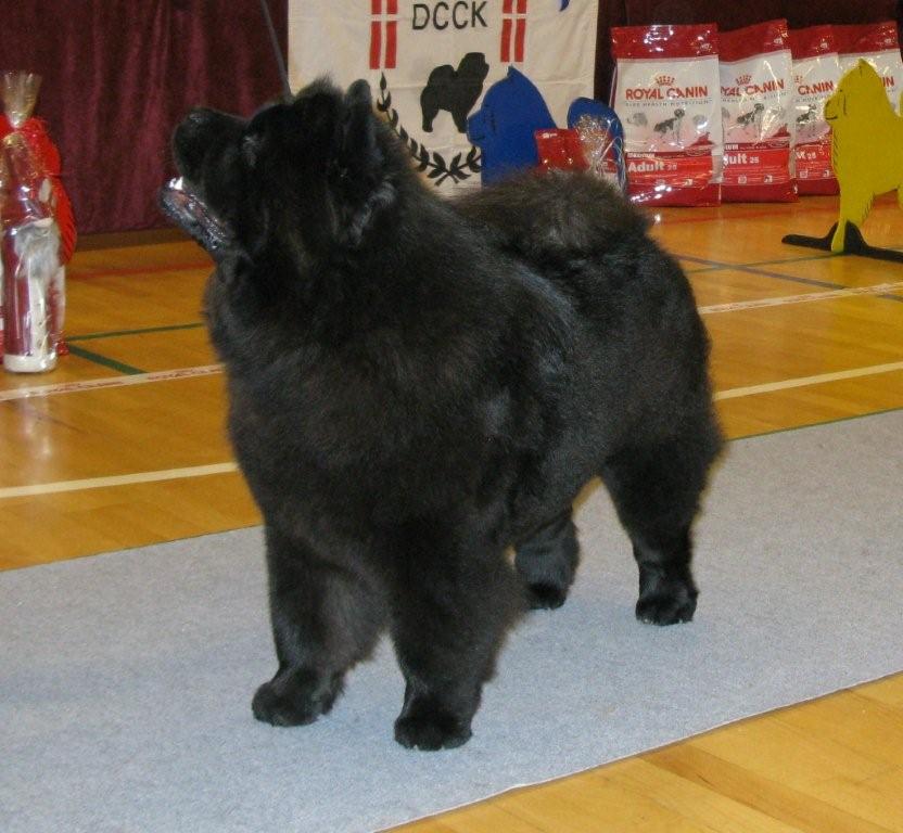 Intermediate female 1. Dai Lan Zung Tzung Le