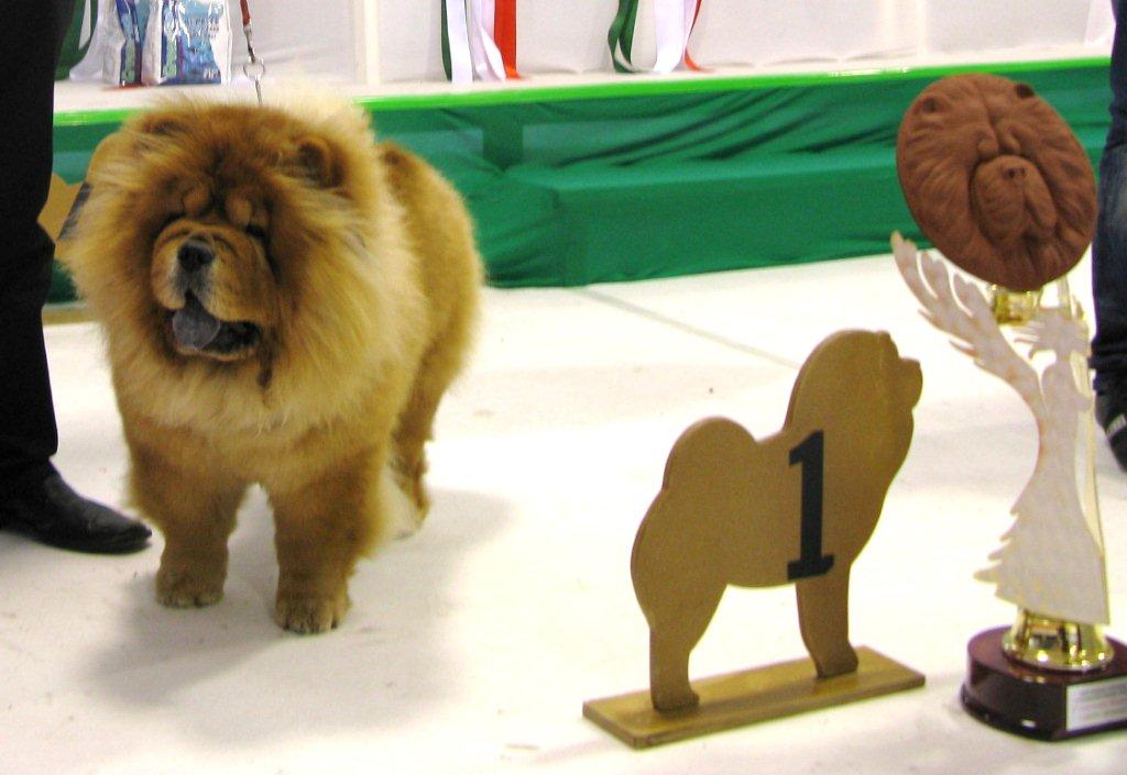 Intermediate female 1.Bally-Heo exc.1