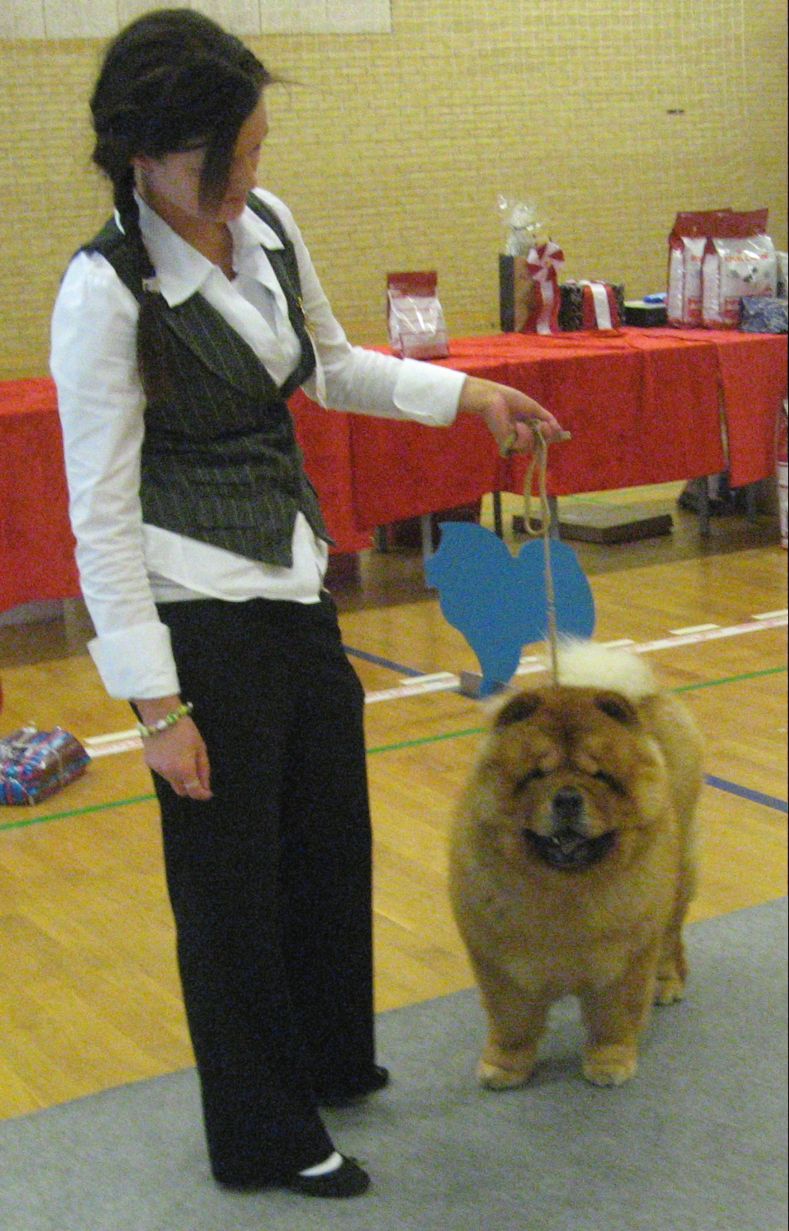 Intermediate female 1.Chan-Los A Kind Of Magic