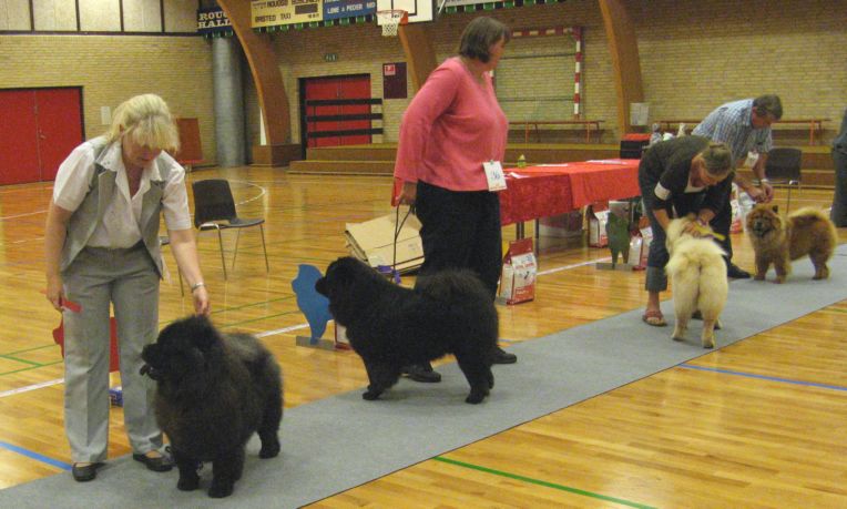 Intermediate females 1-4