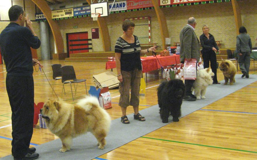 Intermediate males 1-4
