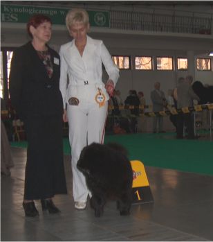 JWW-females Bon Triumph Otrada