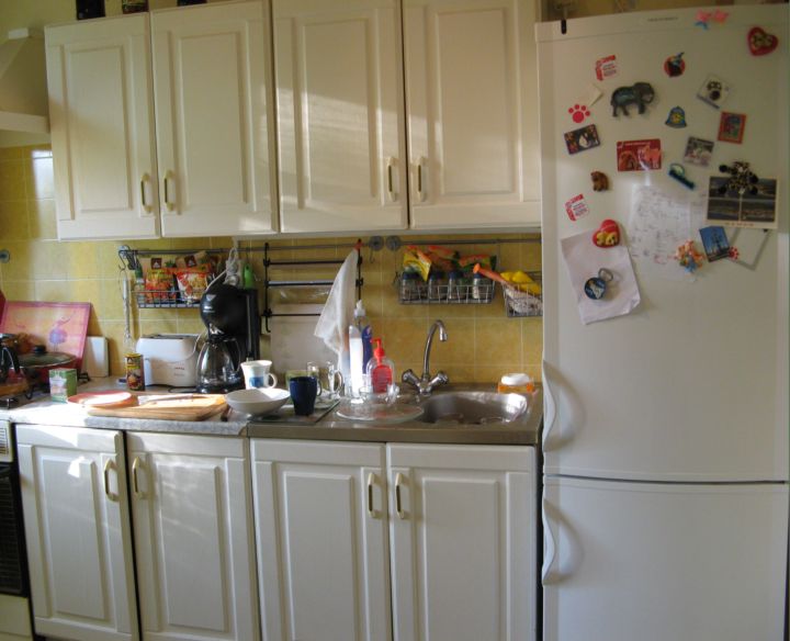 Kitchen with Danish refrigerator