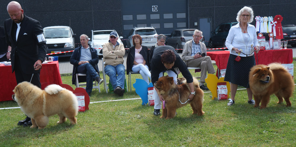 Juniordog 1. Piuk Chow Pirates Boy Of Phantasy 2. Justin For Liu-Su Style Of Mary 3. Batton Fon Fragoky