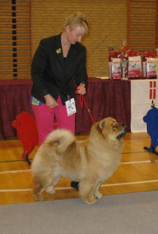 Junior female 1.Bao-Fangs Fen-Hong-Se Nu Shi