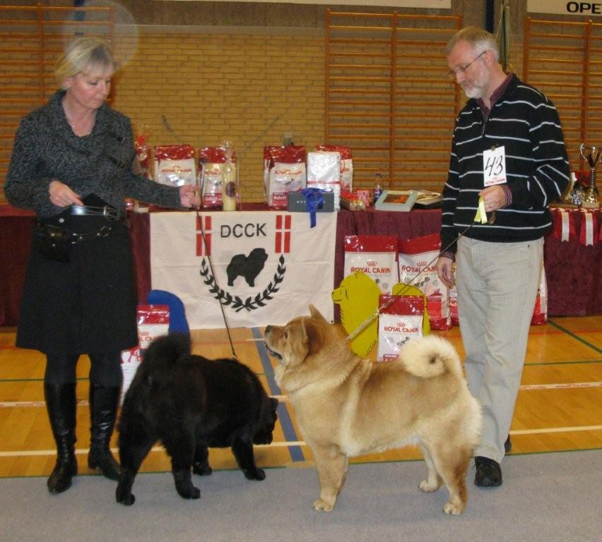 Junior female 2. Nrskovs Ding Dong Dixie 3.Nrskovs Dame Dodo